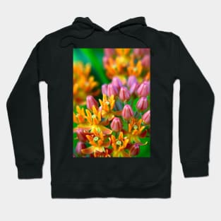 Beautiful Butterfly Flower Hoodie